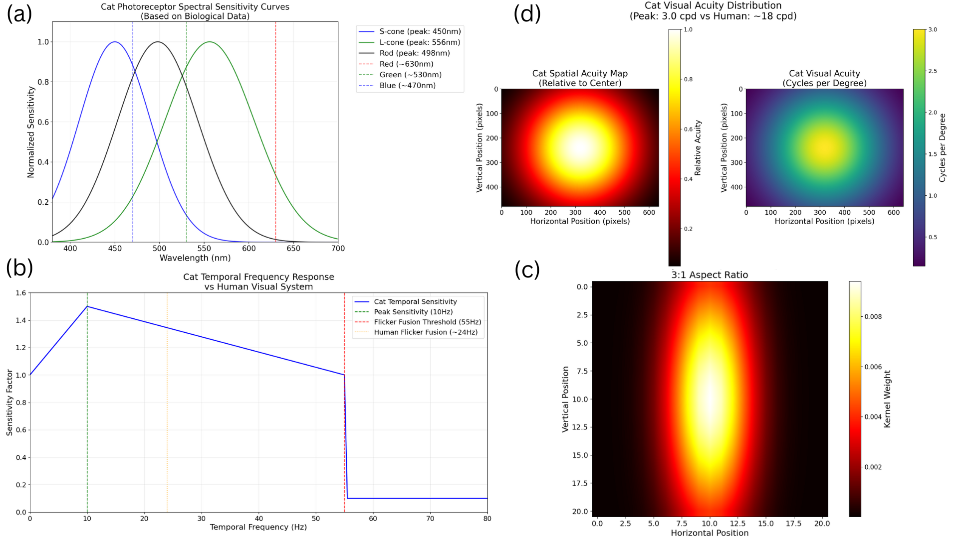 Biologically Informed Cat Vision Filter