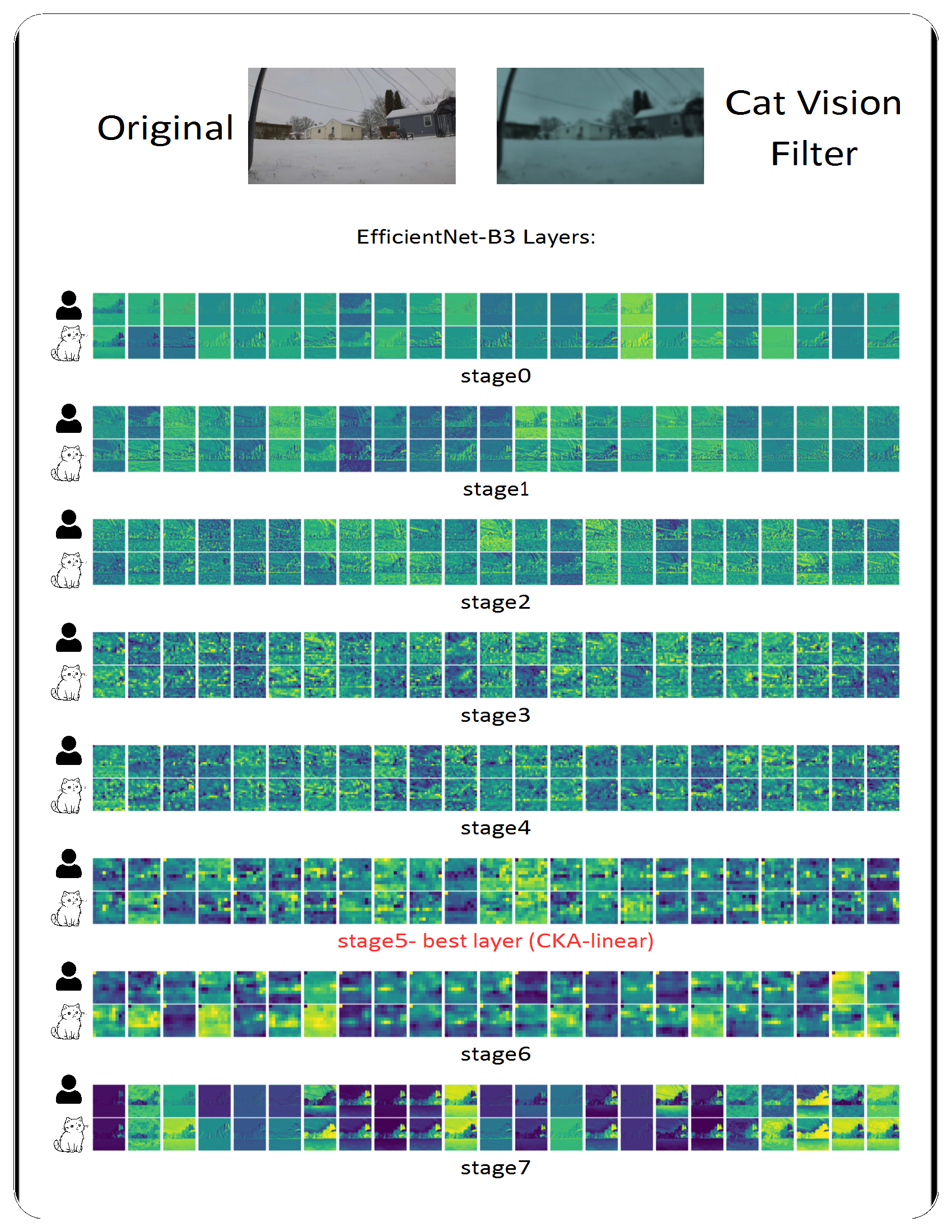 CNN embeddings visualization