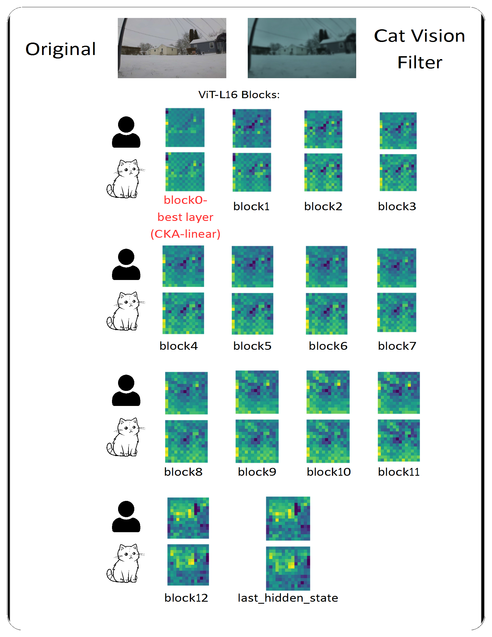 DINO embeddings visualization