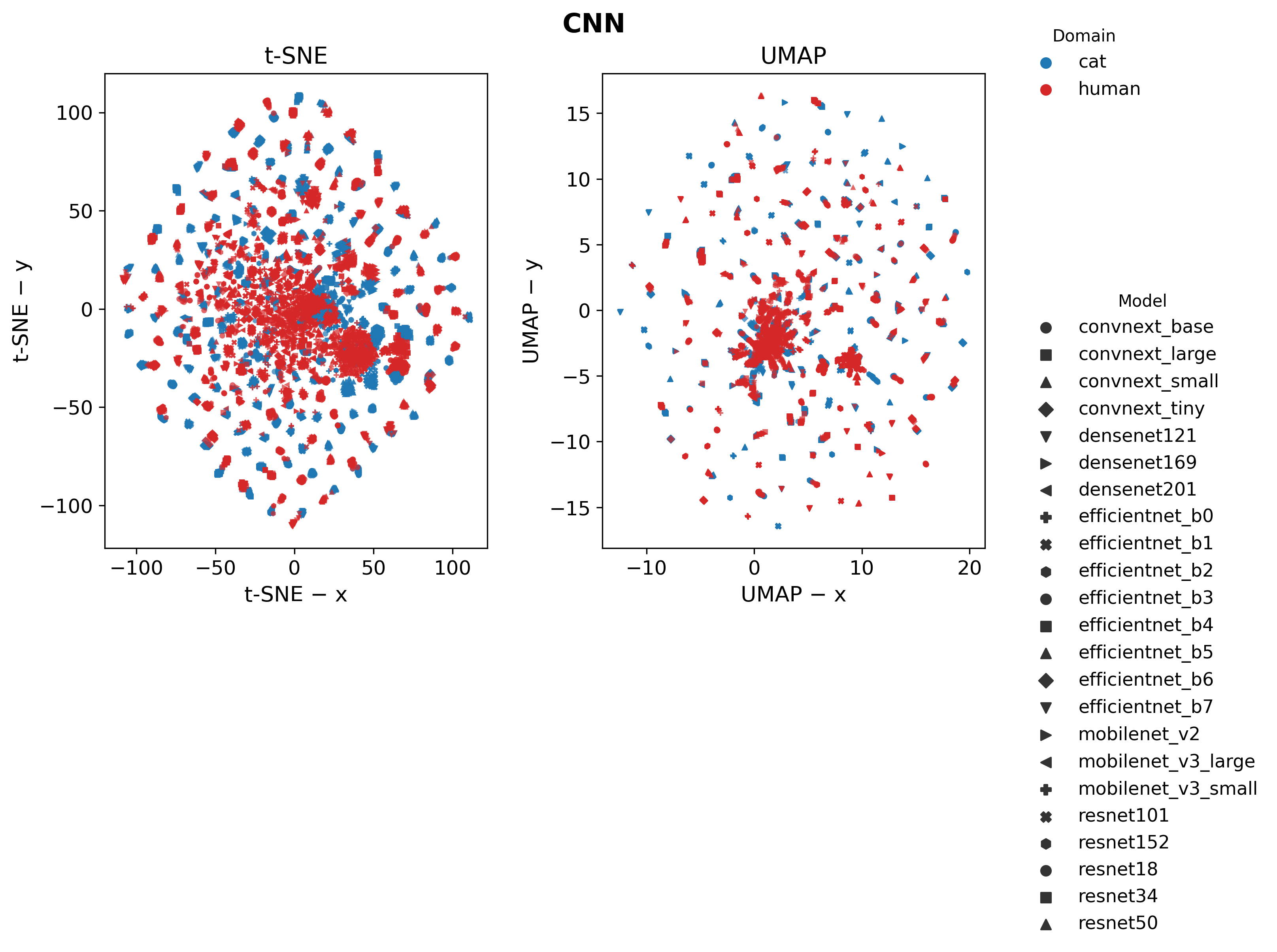 Embeddings Visualization