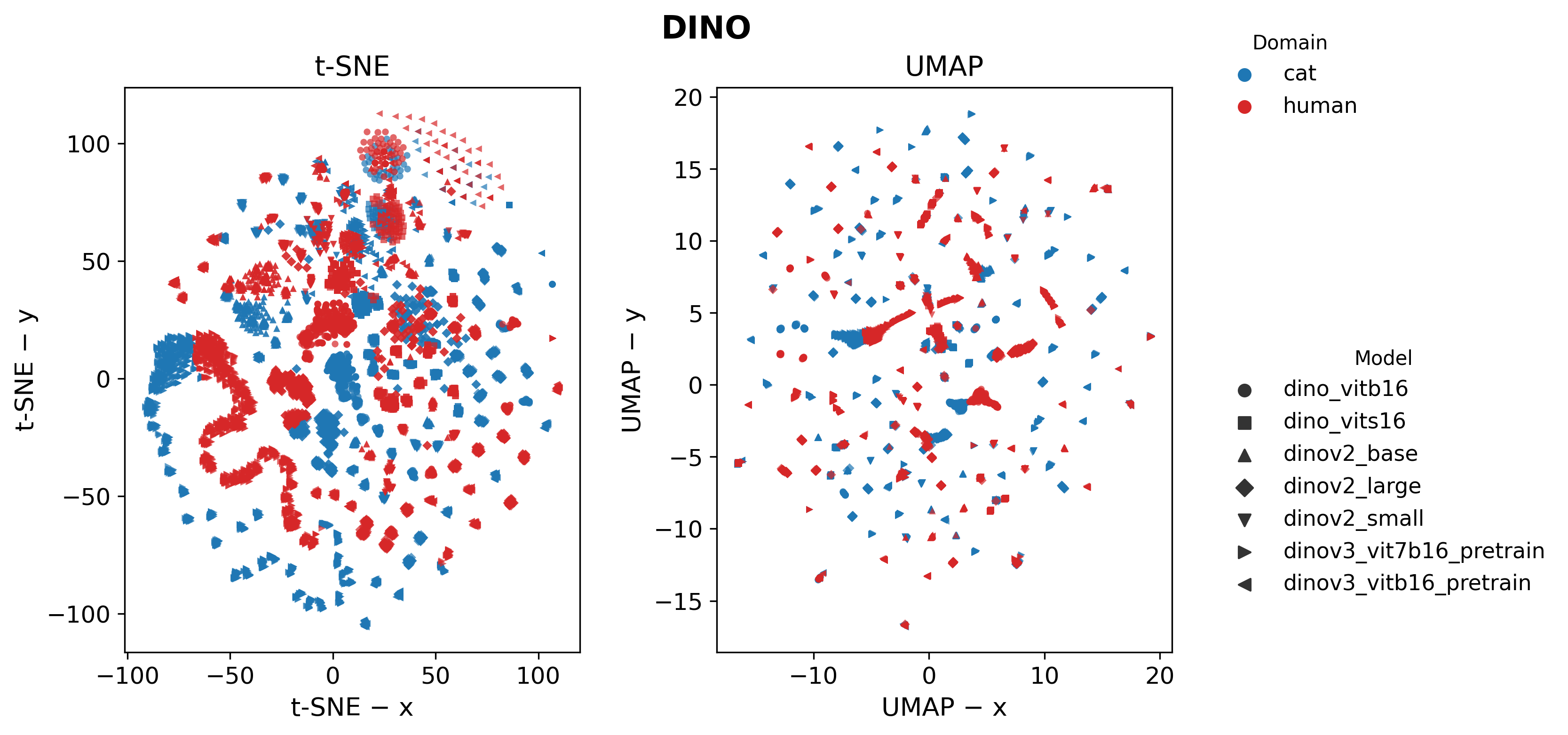 Embeddings Visualization