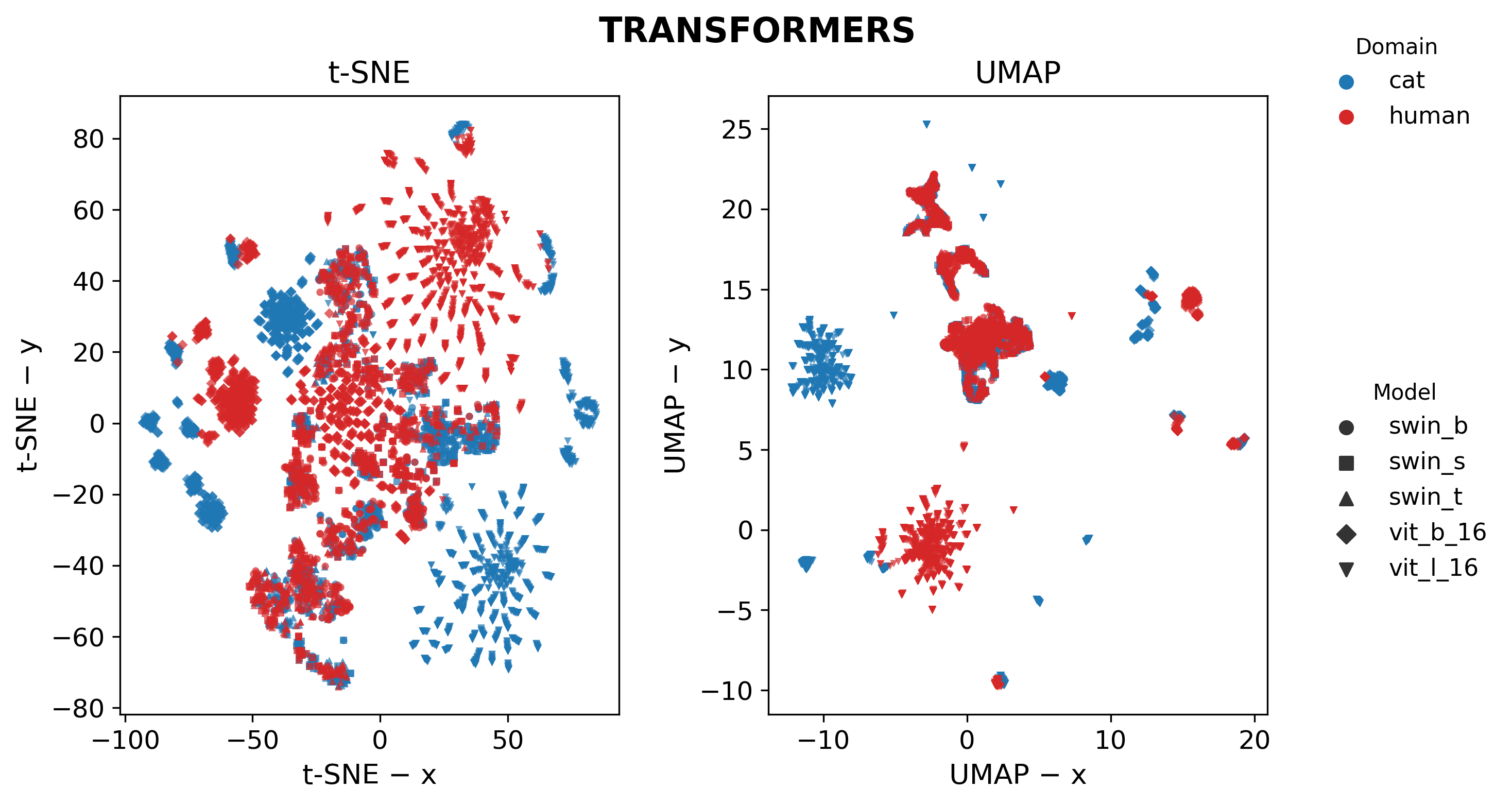 Embeddings Visualization