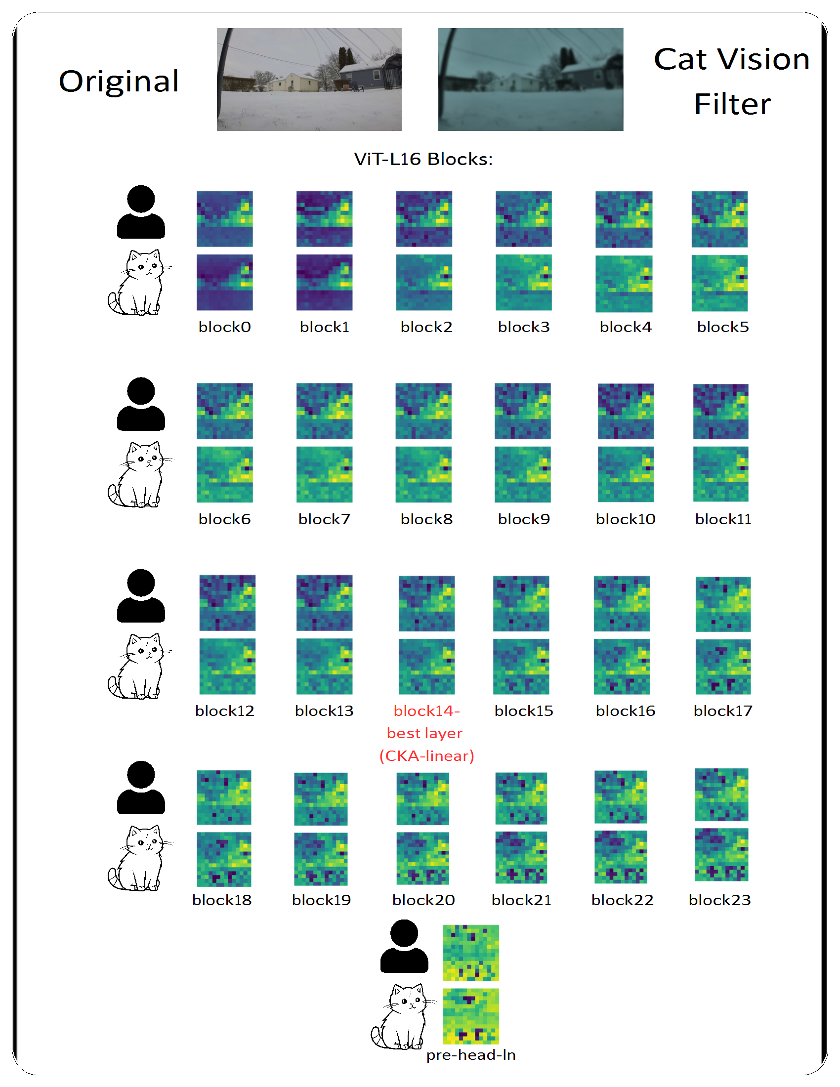 Transformer embeddings visualization